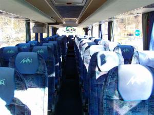 FOTO SETRA 315 GT HD 016